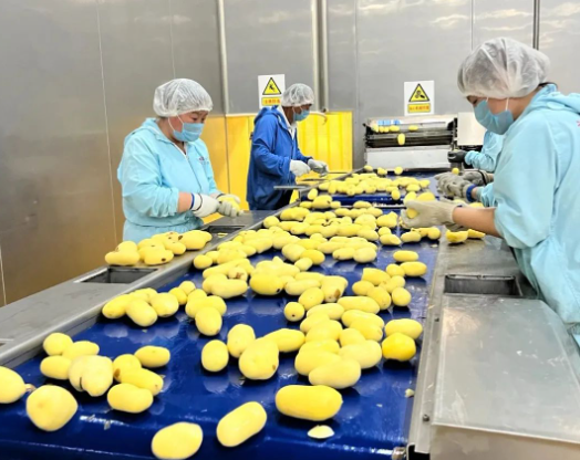 福滿興食品廠正式投產(chǎn) 匠心鑄就安全美味的食品新未來