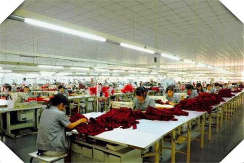 4個(gè)適合創(chuàng)業(yè)的小型加工廠項(xiàng)目推薦 干好一個(gè)年收入高達(dá)100萬的食品方向